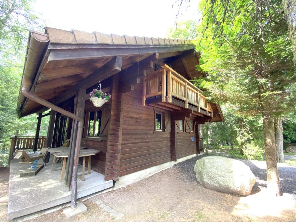 LE RENARD Chalet en bois La Bresse Buitenkant foto
